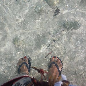 Meet your Posher, Maria